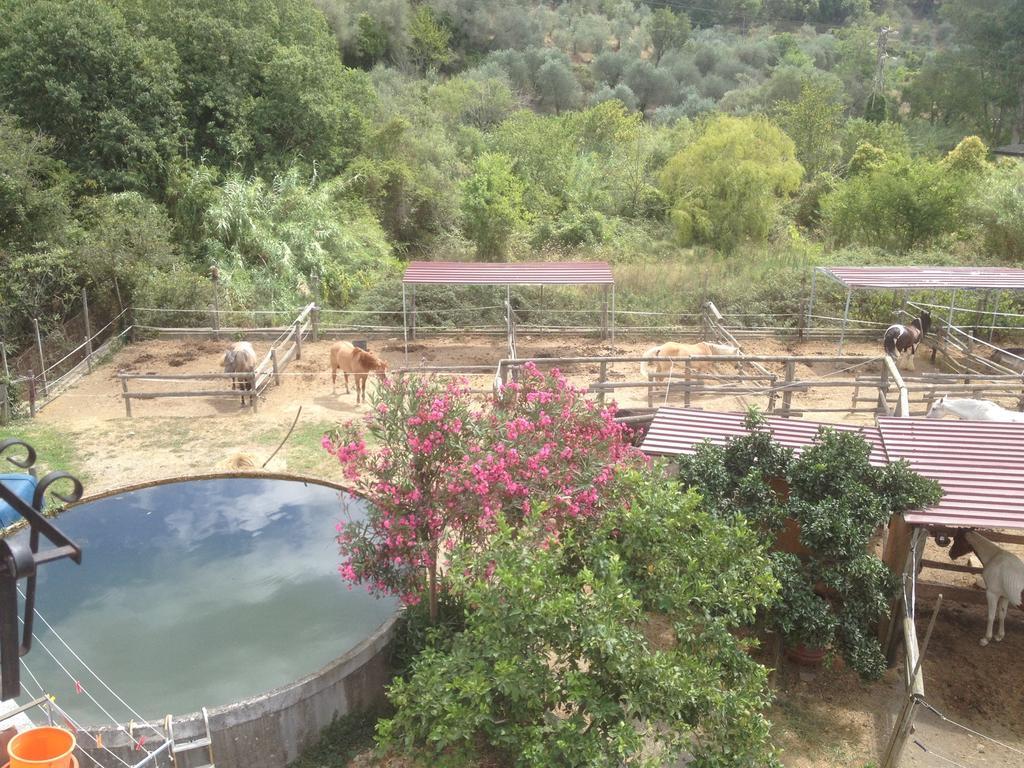 Il Piccolo Ranch Hotel Cervo Luaran gambar